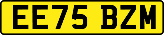 EE75BZM