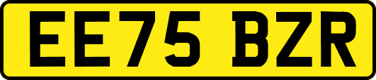 EE75BZR