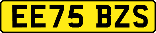 EE75BZS