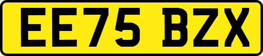EE75BZX