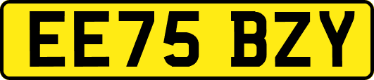 EE75BZY