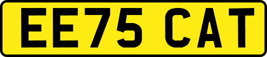 EE75CAT