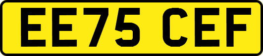 EE75CEF