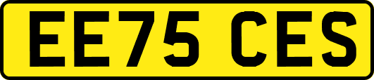 EE75CES