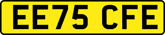 EE75CFE