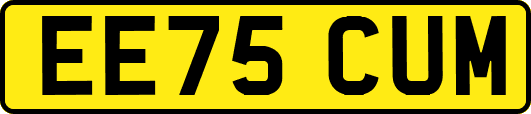 EE75CUM