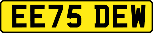 EE75DEW