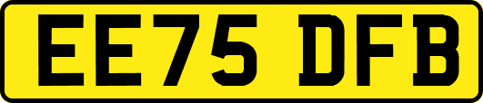 EE75DFB