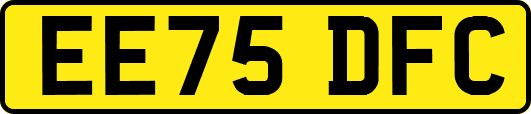 EE75DFC