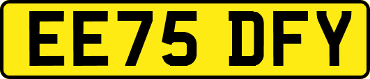 EE75DFY