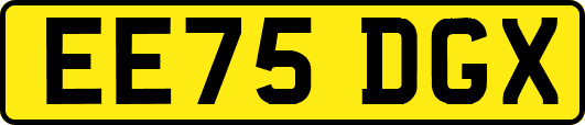 EE75DGX