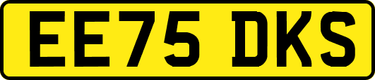 EE75DKS