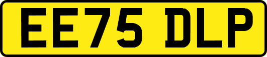 EE75DLP