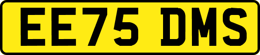 EE75DMS