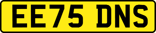 EE75DNS