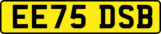 EE75DSB