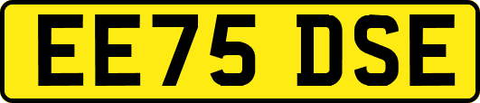 EE75DSE