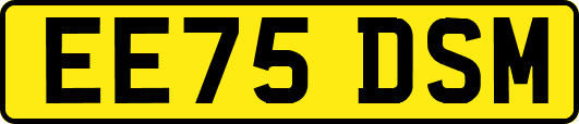 EE75DSM