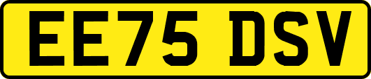 EE75DSV