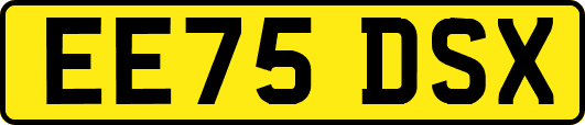 EE75DSX