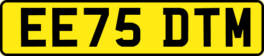 EE75DTM