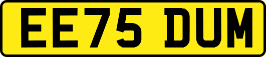 EE75DUM