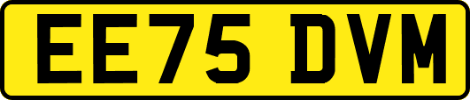 EE75DVM