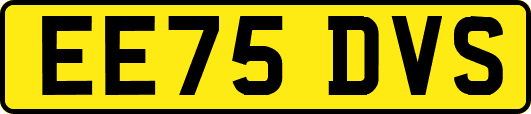 EE75DVS
