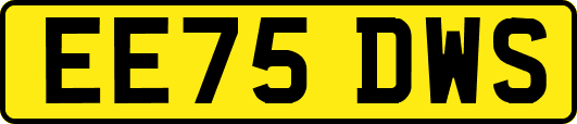 EE75DWS