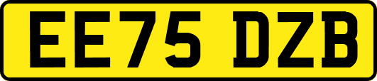 EE75DZB
