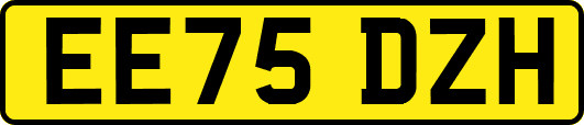 EE75DZH