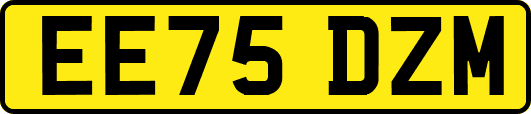 EE75DZM