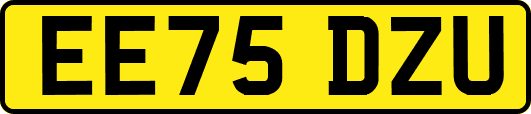 EE75DZU