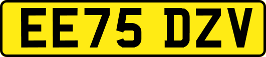 EE75DZV