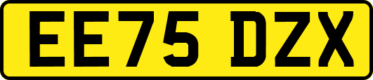 EE75DZX