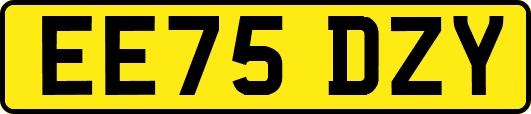 EE75DZY