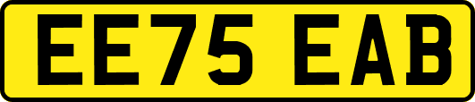 EE75EAB