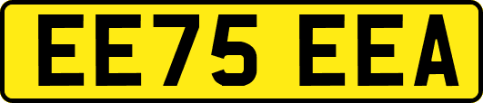EE75EEA