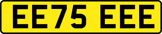 EE75EEE