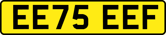 EE75EEF