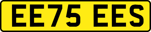 EE75EES