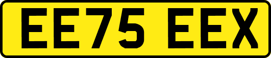 EE75EEX