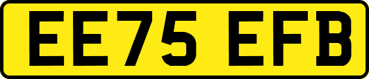 EE75EFB