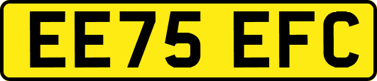 EE75EFC