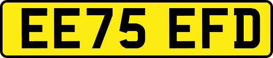 EE75EFD