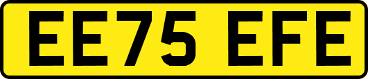 EE75EFE