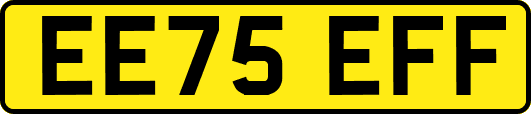 EE75EFF