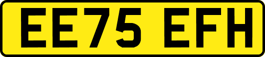 EE75EFH