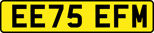 EE75EFM