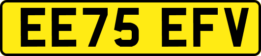 EE75EFV